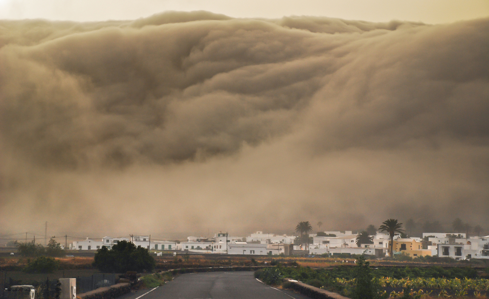 Massive Wave Sweeps Several Tourists into the Sea! Spanish Holiday Isle Turns into a Nightmare